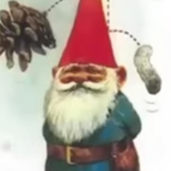 Schleebo | Roblox Coder