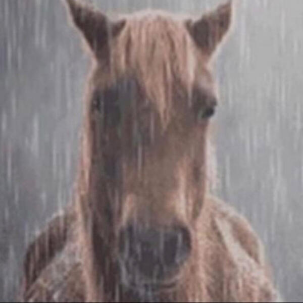 awsumeguy7000 | Roblox Builder